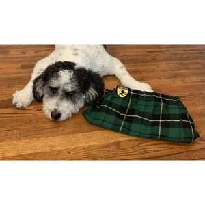 Sport Kilt Men's Size Small Plaid Green Blue Watch Tartan Pleated